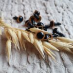 Mini oczy do sów,lalek z makramy złote O41