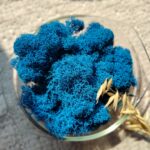 Mech chrobotek fiński niebieski do makramy żywy