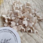 Kwiat premium cappuccino z materiału K3