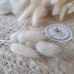 Dmuszek jałowaty biały suszony 5szt