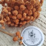 Amarelino pomarańczowe suszone 7szt