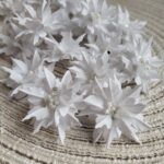 Kwiaty premium gwiazda betlejemska biała 3cm K106