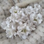 Zestaw 20 szt kwiatów z foamiranu od 1cm do 3,5cm białe ZK1