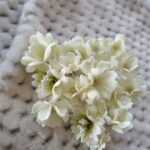 Zestaw 20 szt kwiatów z foamiranu od 1cm do 3,5cm seledyn ZK4