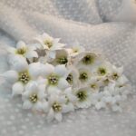 Zestaw kwiatów 25 szt z foamiranu od 1cm do 3,5cm białe ZK14