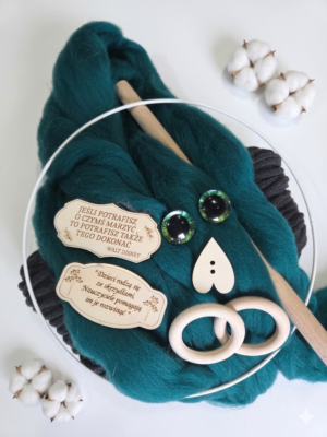 Zestaw DIY Sowa: wełna czesankowa + tabliczka dla nauczyciela ZS03 Zieleń